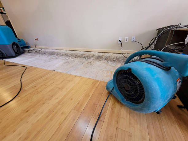 Professional Ceiling Water Damage Repair technician working in Midway, NC